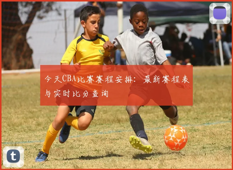 今天CBA比赛赛程安排：最新赛程表与实时比分查询