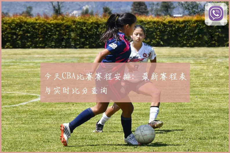 今天CBA比赛赛程安排：最新赛程表与实时比分查询